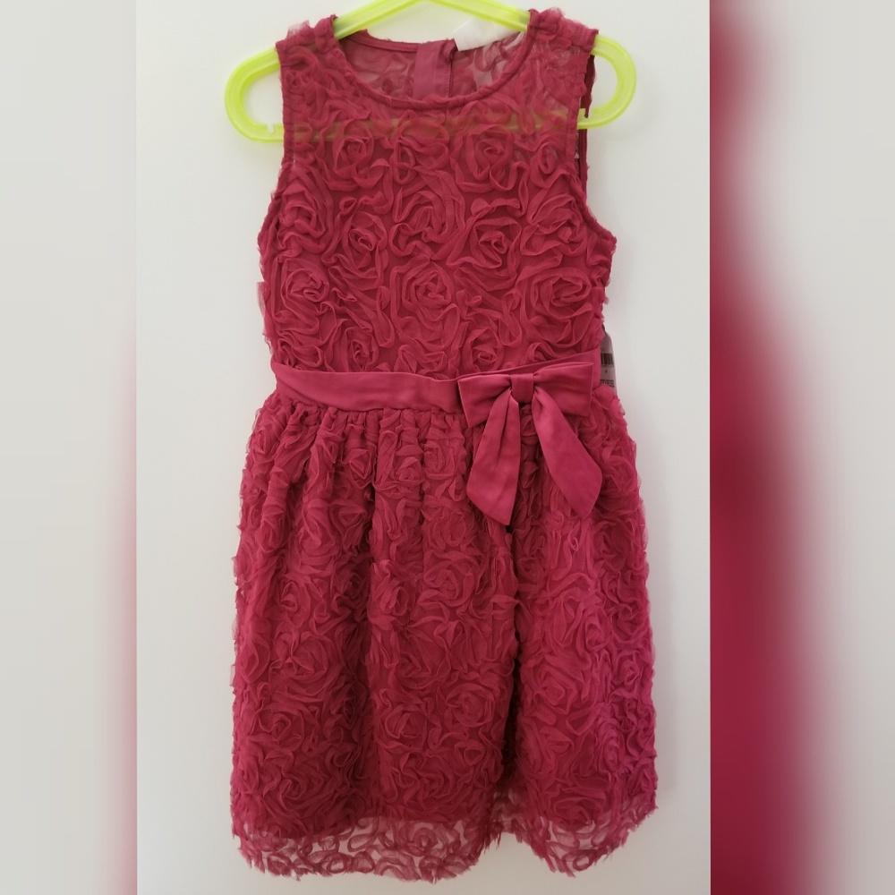 Girl's Dress